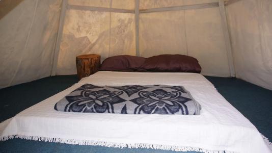 Shiva Camp - 2