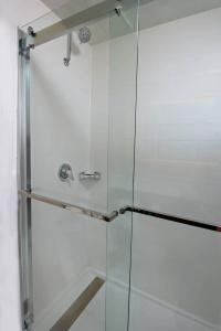 Springhill Suites Houston Medical Center / Nrg Park - 41