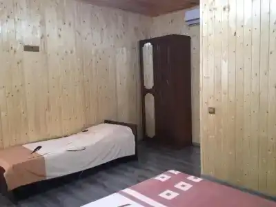 Георгина - 6