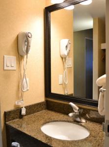 Holiday Inn Macleod Trail South - 8