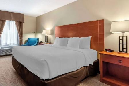 Comfort Inn Civic Center - 57