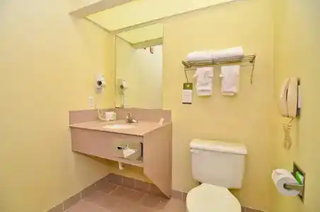 Quality Inn & Suites Dfw Airport South - 34