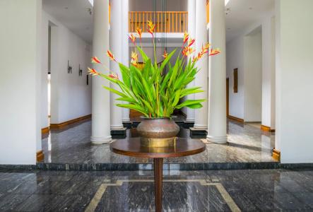 Villa White Queen - 12