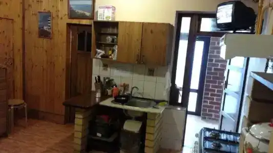 Виноградная лоза - 0