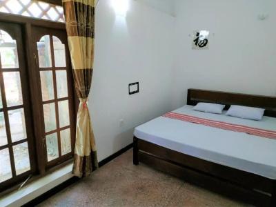 Lavish Eco Jungle - 8
