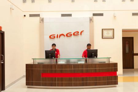 Ginger Jaipur - 28