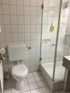 Schweizer Hof - 22