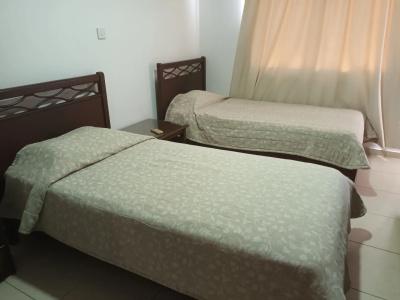 Petsas - 4
