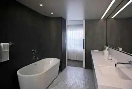 The Statler Dallas, Curio Collection By Hilton - 54
