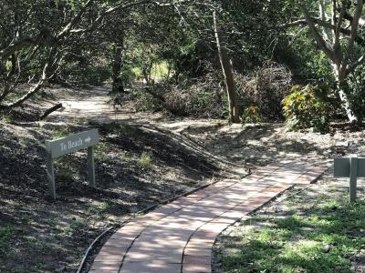 Glen Eden Beach - 22