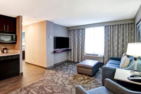 Hampton Inn & Suites by Hilton-Airport - 61