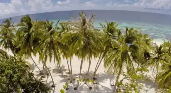 Crystal Sands - 21