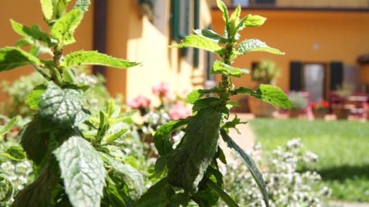Al Canto b&b - 6
