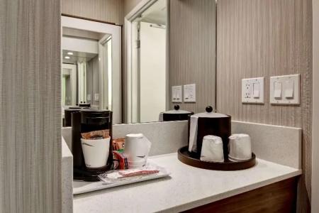Hampton Inn & Suites by Hilton-Airport - 82