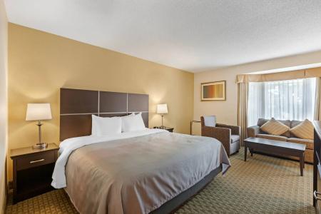 Quality Inn & Suites - 42