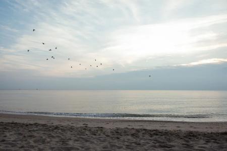 Adria Beach - 20