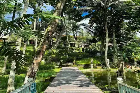 Ubud Sari Health Resort - 8