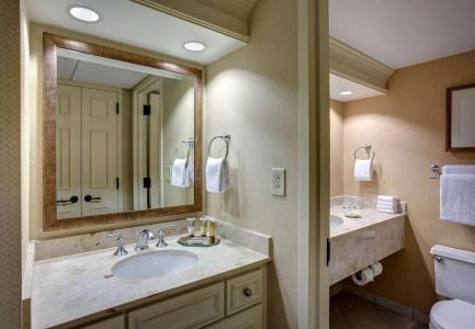 Gaylord Opryland Resort & Convention Center - 9