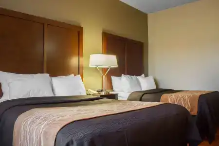 Comfort Inn & Suites near Kino Sports Complex - 4