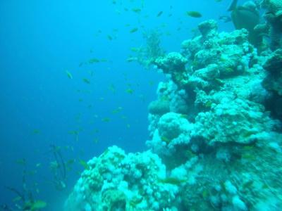 Seaview Dahab - 14
