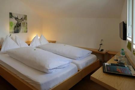 Park-Saas- Fee - 5