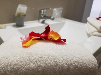 Logis Le Nid du Pont de Gau - 31