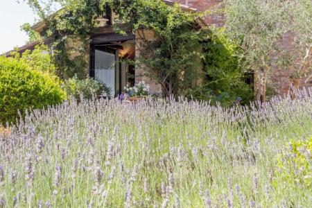 La Vittoria 10 – La Soglia della Val d’Orcia - 123