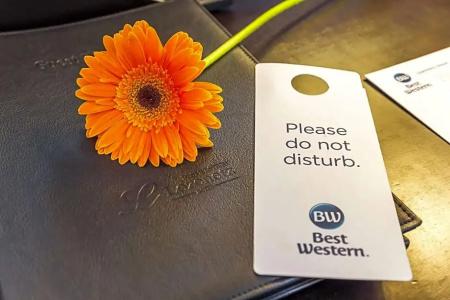 Best Western Lozenetz - 67