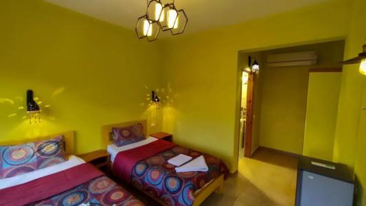 Shams & Dive Centre - 23