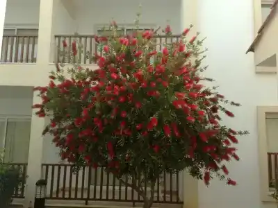 Aktea Beach Village - 0