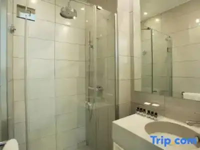 Le Basile Hôtel - 79