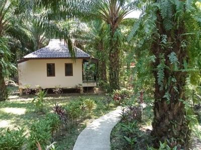 Khao Sok Palm Garden Resort - 56