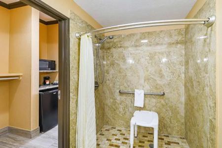 Quality Inn & Suites - 58