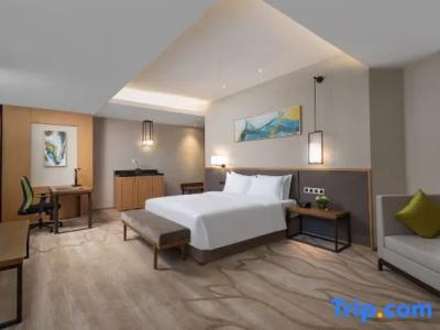 Holiday Inn Chengdu Airport, An Ihg - 61