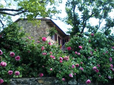 Poggio Al Vento - 27