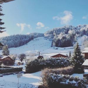 Igloo - 44