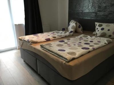 Pension Waldesruh - 25