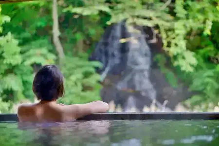 Hanamaki Onsenkyo Namari Onsen Fujisan Ryokan - 18