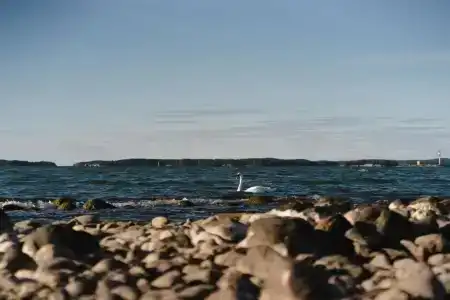 Ruissalo Spa - 23