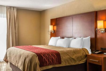 Comfort Inn Savannah - 53