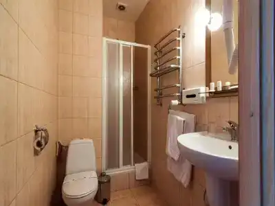 Золото Карпат - 6