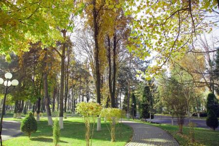Residence Park - 22