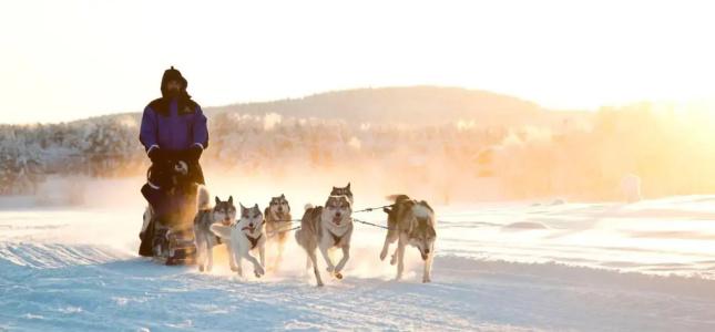 Northern Lights Village - 30