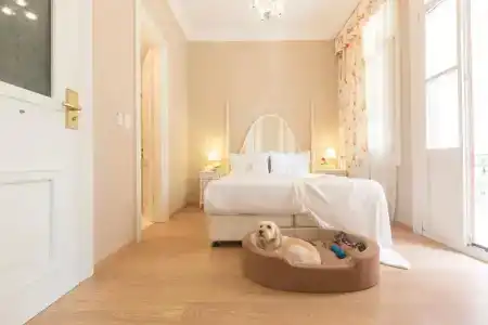 Gatto Perso Luxury Studio - 80