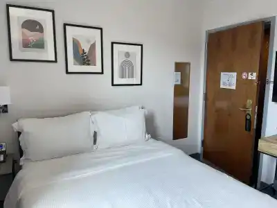 Mimosa - 4