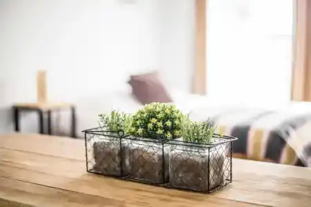 Sucre Suites - 168