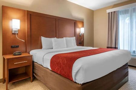 Comfort Suites Orlando Airport - 47