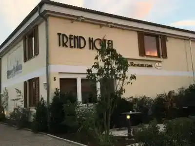 Trend - 19