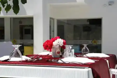 AelbİStan Otel - 14