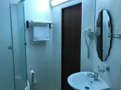 Шагын - 1